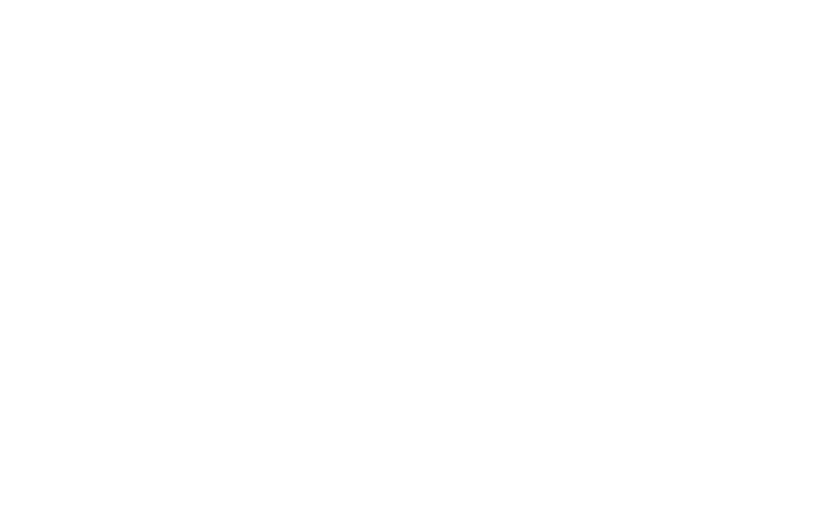 Bagr Toms